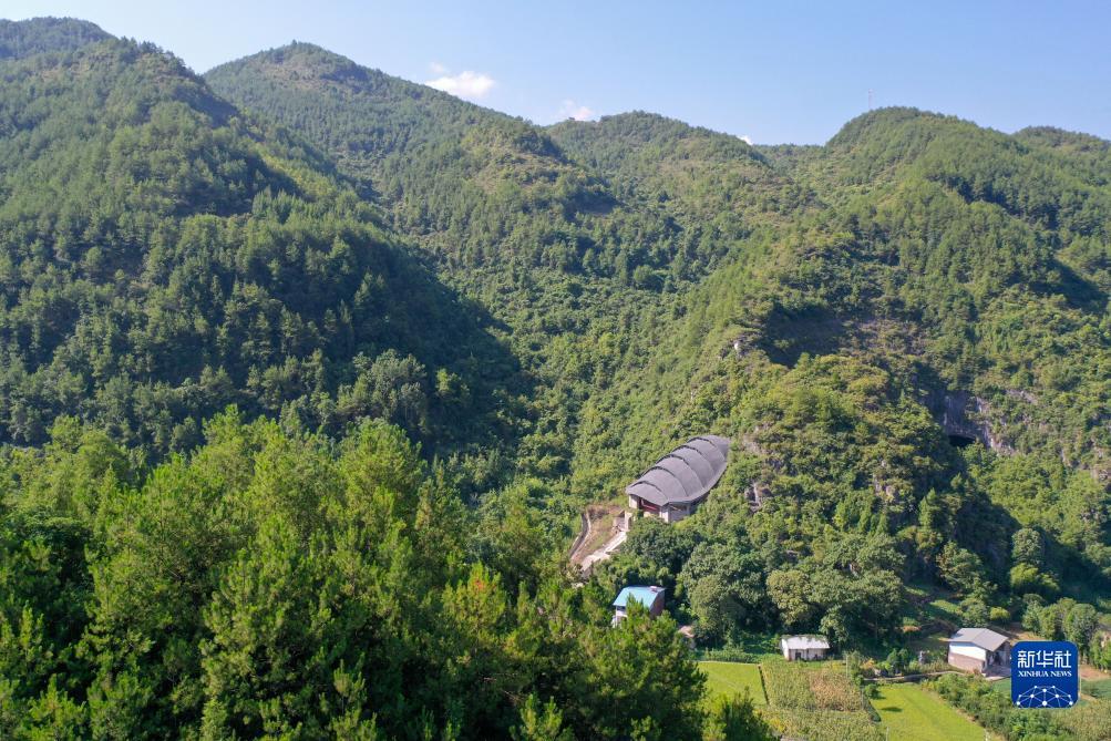 免费炸三张金花游戏下载